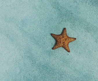 Galary-Post-2-Feature-Image-338×280